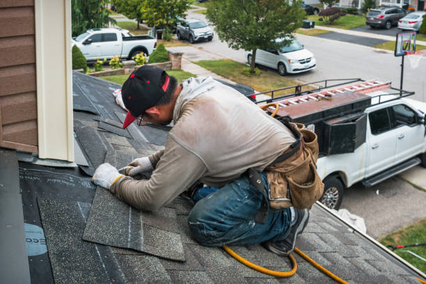 Professional Roofing technician working in West Concord, MN
